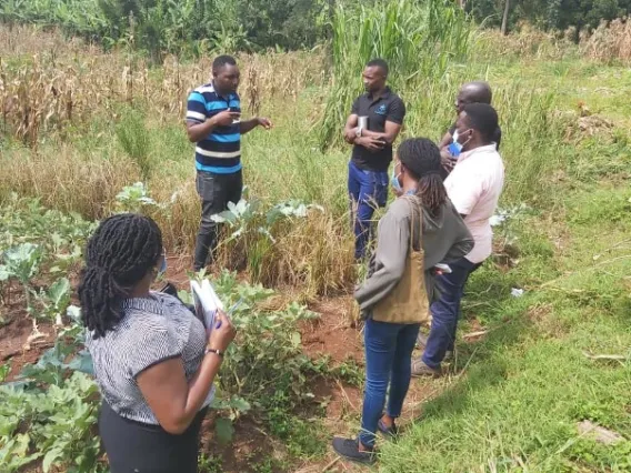 People talking together while doing fieldwork