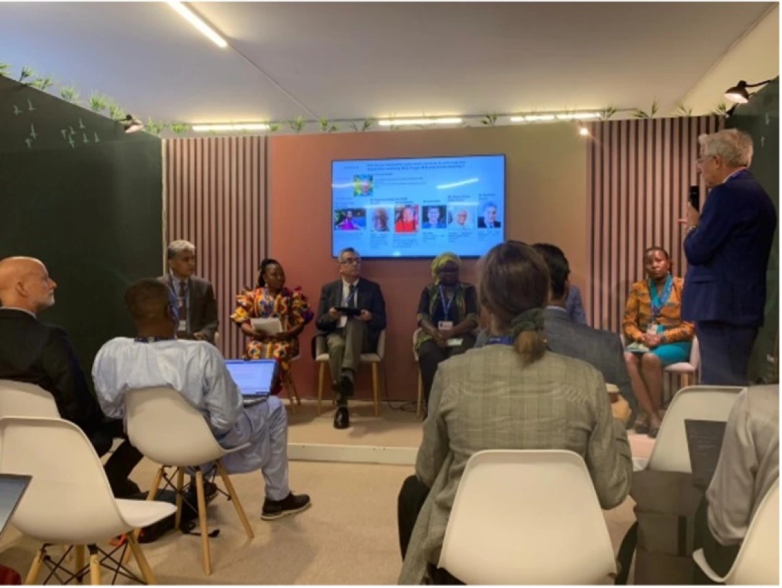 Panel members seated while the moderator Jean Luc Chotte briefed us