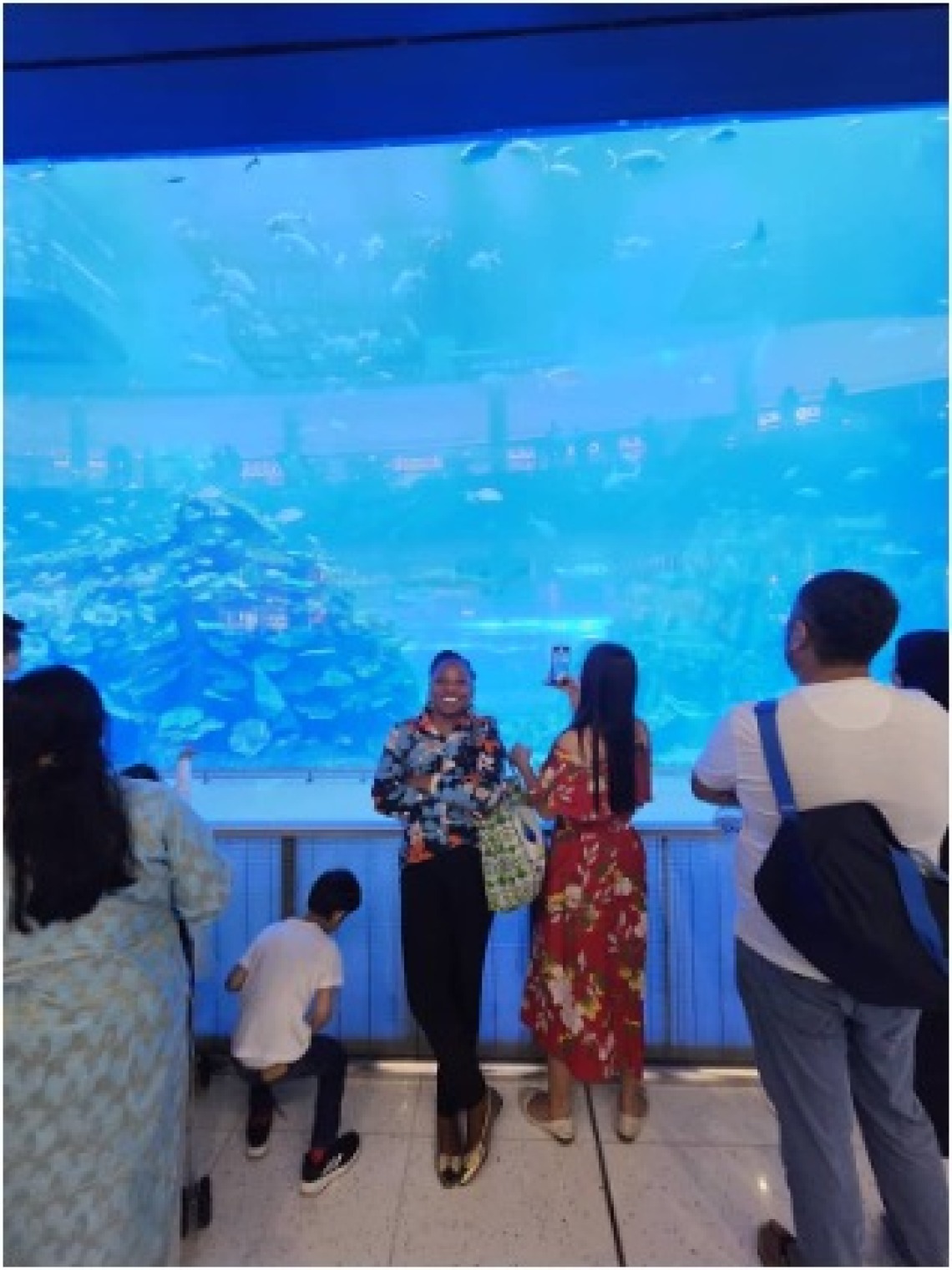 At an aquarium at the Dubai Mall
