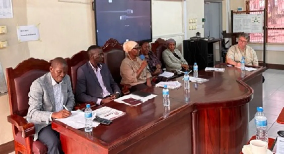 : A panel discussion was held with experts from different sectors in Tanzania.